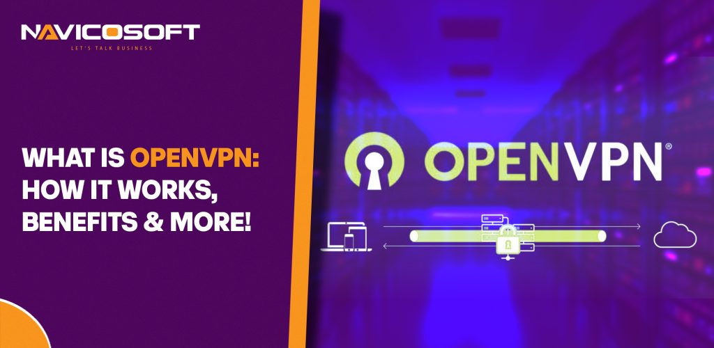 What is OpenVPN